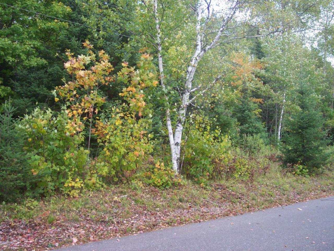 On Palmer Road, Unit LOT 1 Presque Isle, WI 54557 - Photo 3 of 11 Gallery Image 3