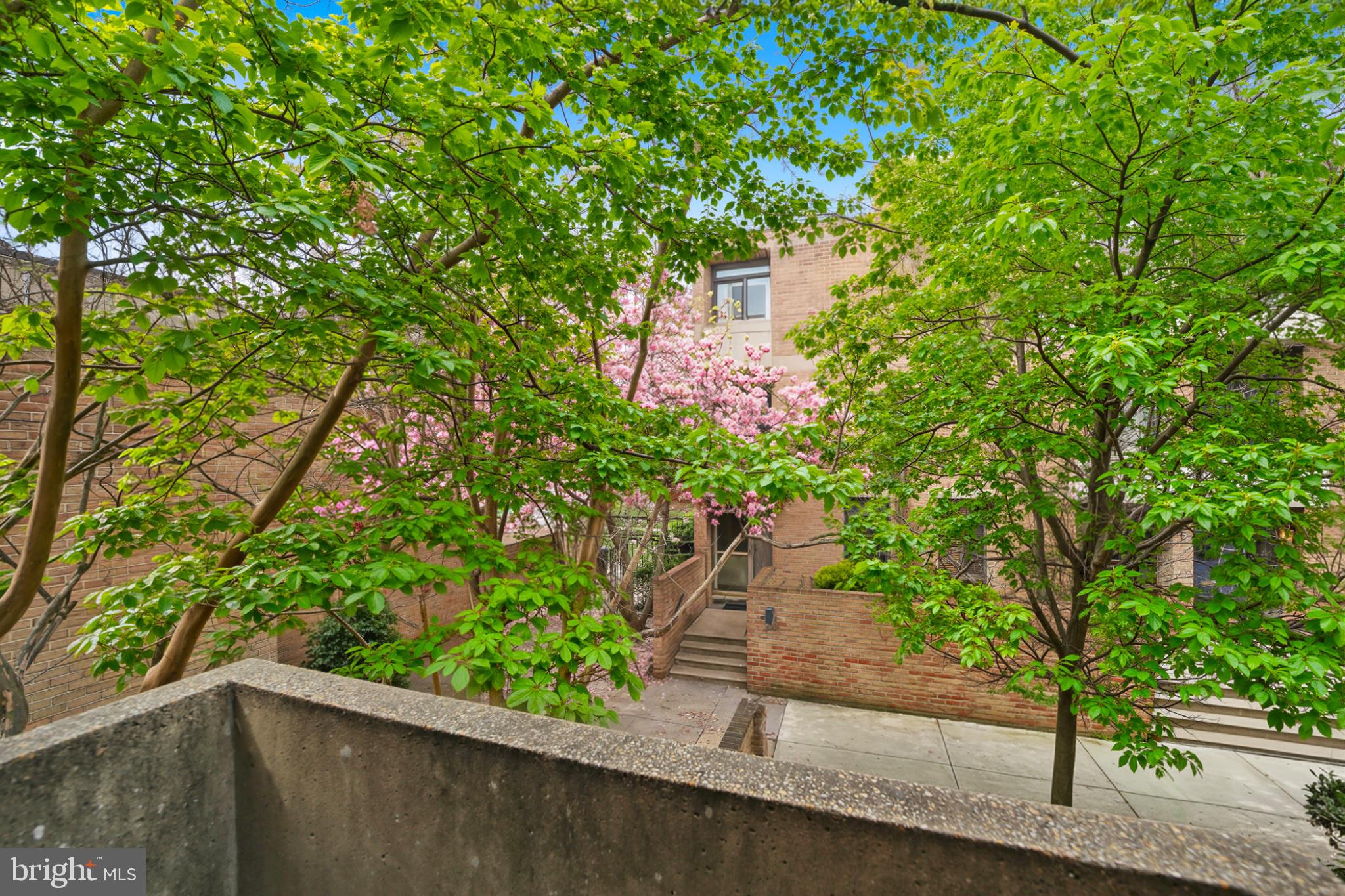 1273 Delaware Avenue Southwest Washington, DC 20024 - Photo 14 of 32 Serene greenery with blooming blossoms.