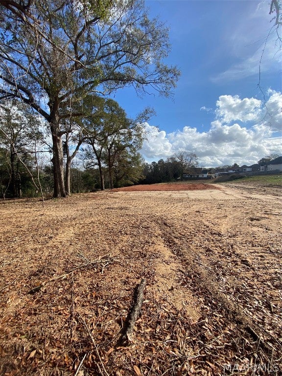 27 Blue Ridge Circle Enterprise, AL 36330 - Photo 3 of 5 Gallery Image 3