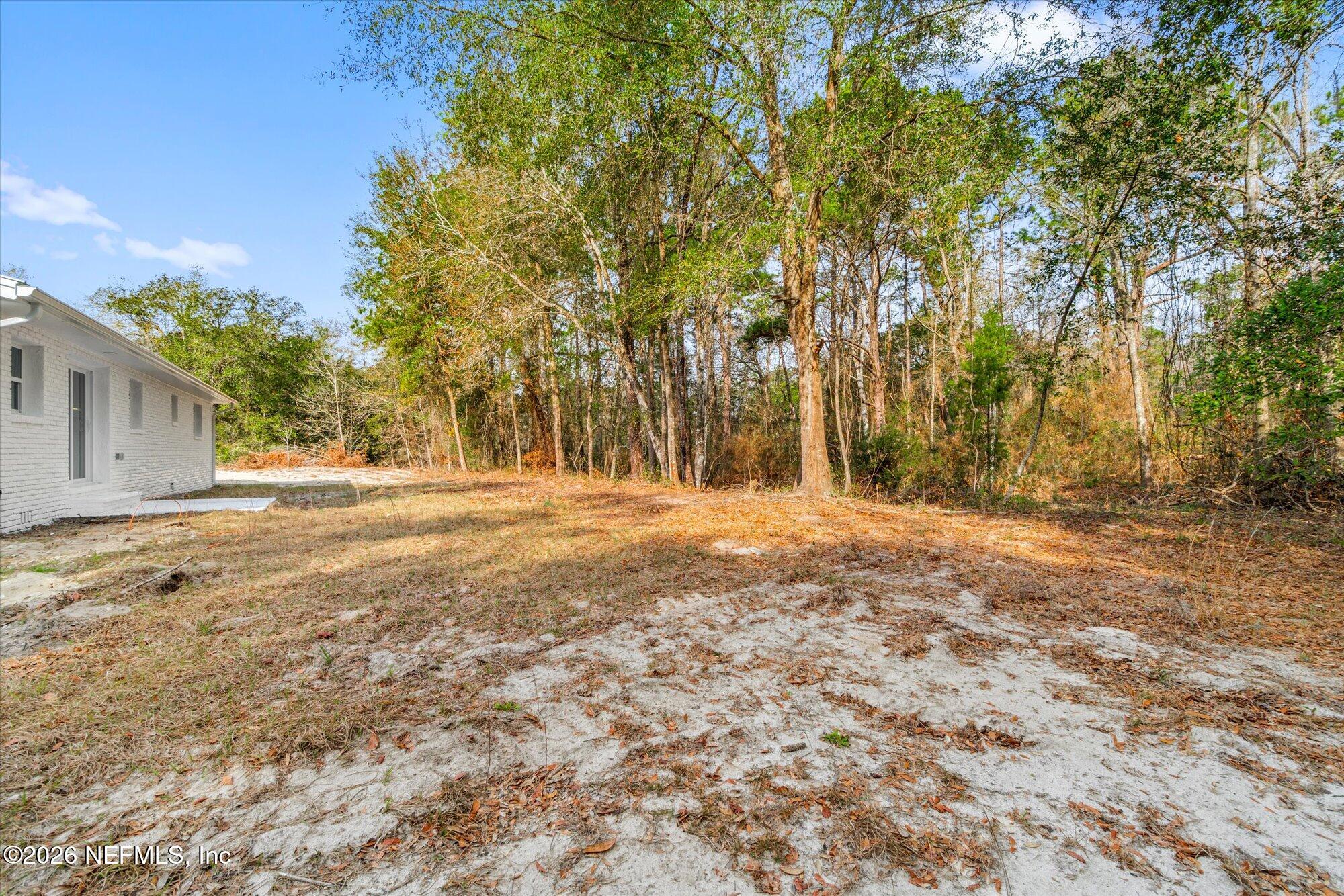 102 Mullins Road Interlachen, FL 32148 - Photo 40 of 45 a view of dirt yard with a large tree