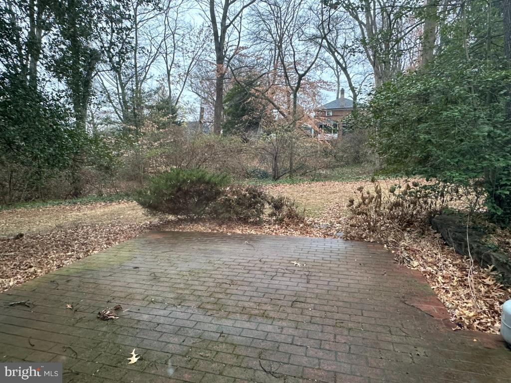 602 Bellevue Road Wilmington, DE 19809 - Photo 23 of 56 a view of a yard with plants and trees