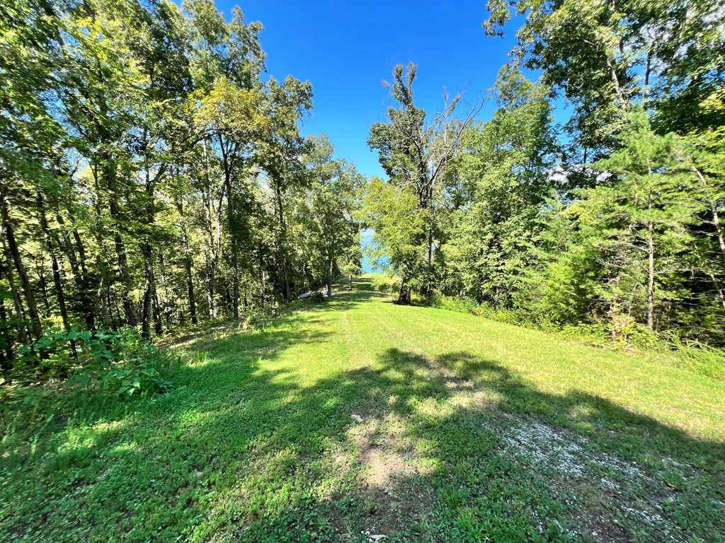 232425 Scott Street Sevierville, TN 37876 - Photo 12 of 34