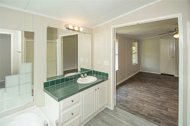 a bathroom with a sink and a mirror