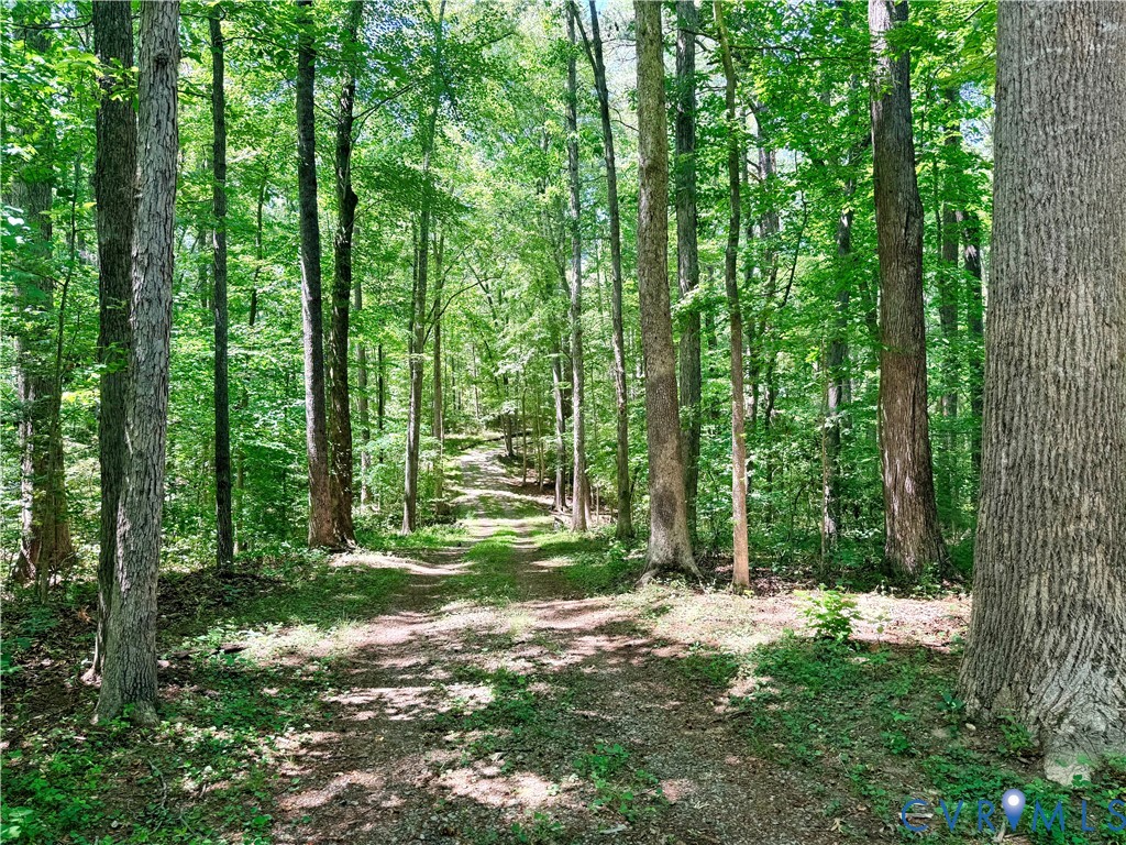 2590 Davis Mill Road Goochland, VA 23063 - Photo 32 of 33 a view of outdoor space and trees