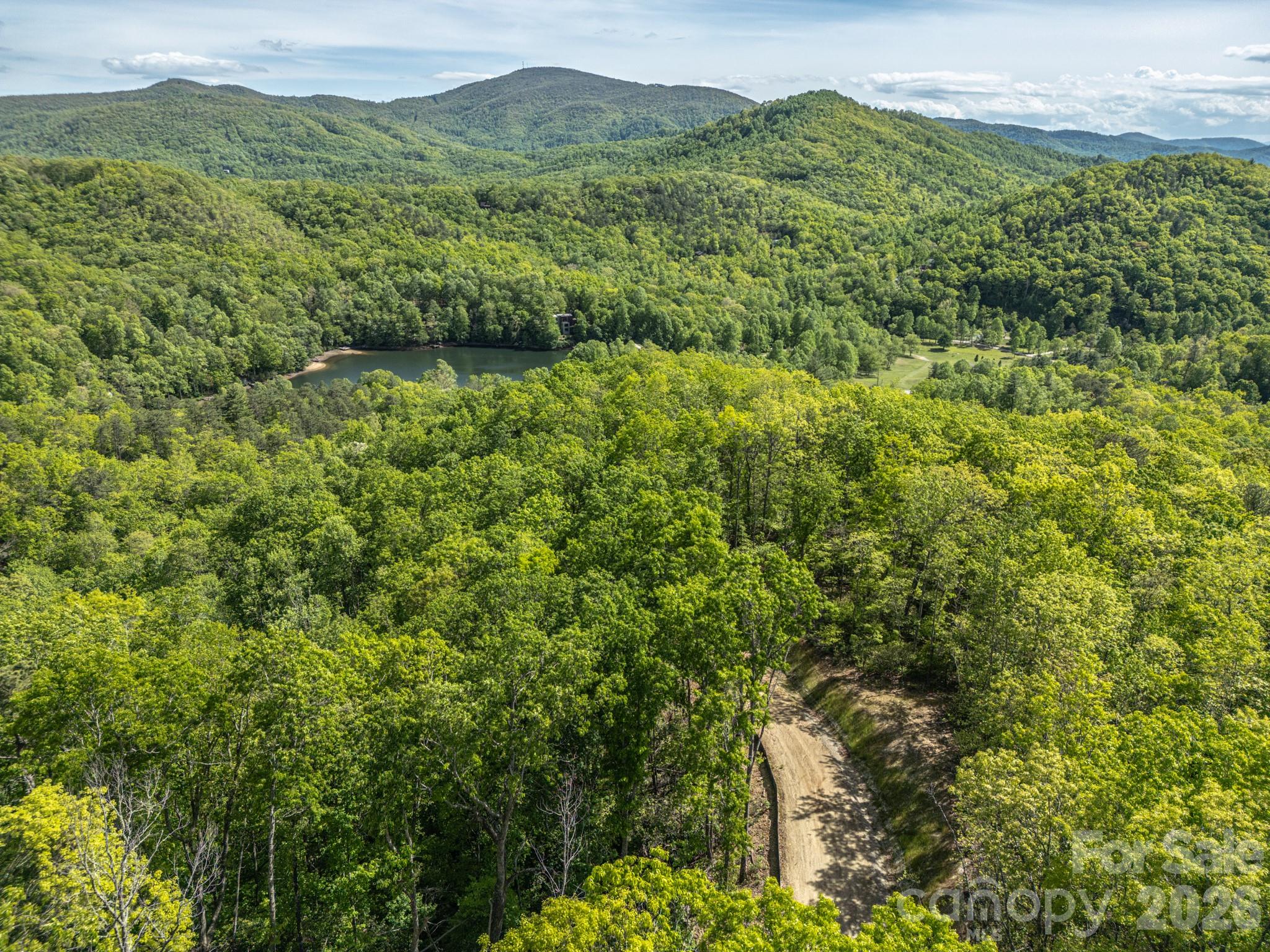10.1-acres On Old Fort Road Fairview, NC 28730 - Photo 7 of 28 a view of a lush green forest with a mountain