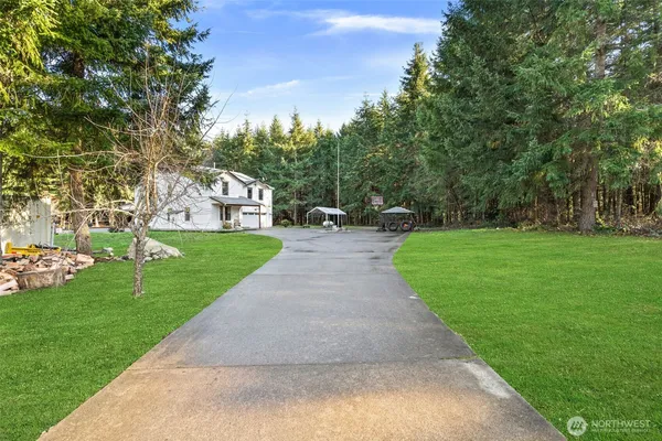 a view of a park with large trees