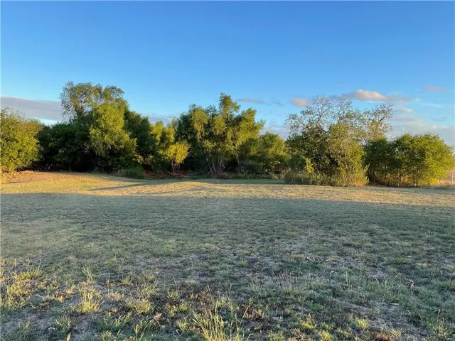a view of a field with trees in background