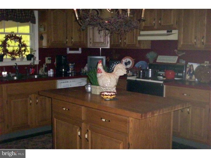 1203 Fritztown Road Reinholds, PA 17569 - Photo 23 of 25 Gallery Image 23