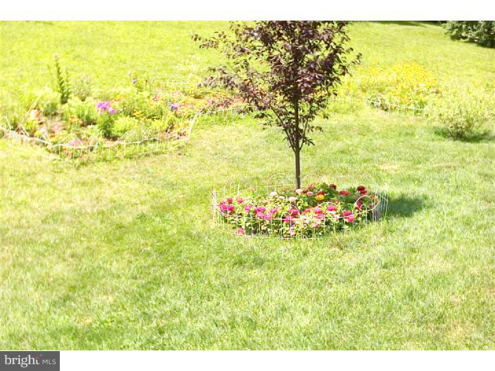 1203 Fritztown Road Reinholds, PA 17569 - Photo 8 of 25 Gallery Image 8