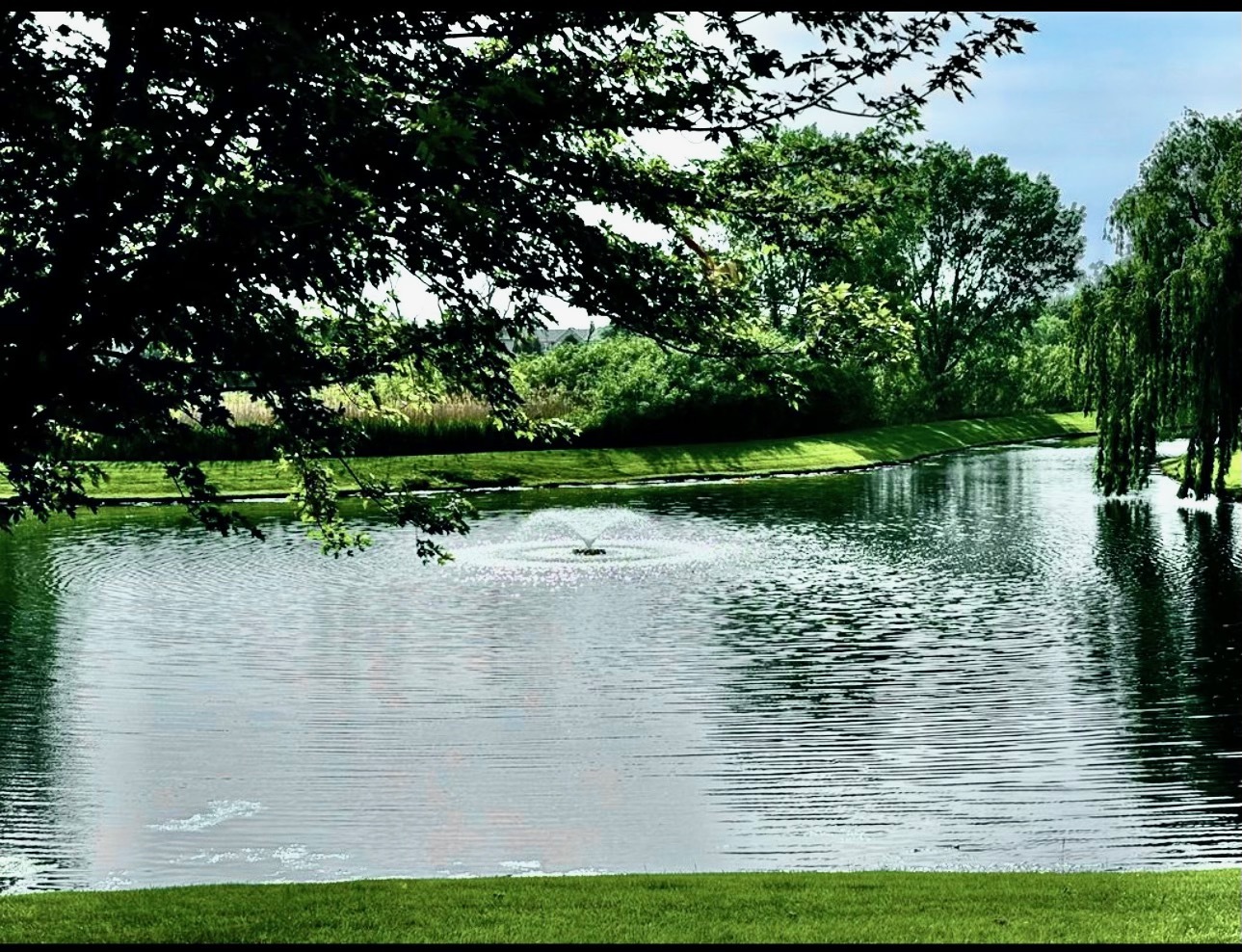 34165 North Goldenrod Road Round Lake, IL 60073 - Photo 38 of 42 Gallery Image 38