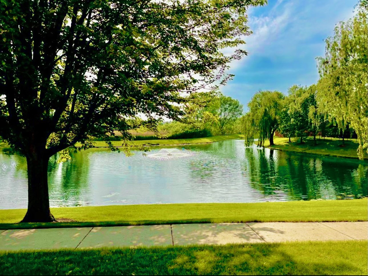 34165 North Goldenrod Road Round Lake, IL 60073 - Photo 4 of 42 Gallery Image 4