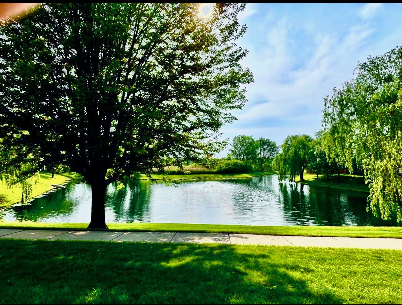 34165 North Goldenrod Road Round Lake, IL 60073 - Photo 6 of 42 Gallery Image 6