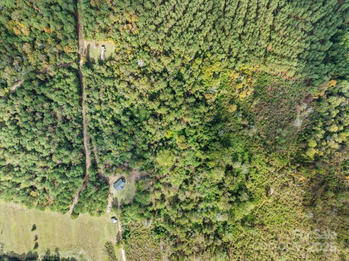 5155 Percy Lane Wallace, SC 29596 - Photo 32 of 33