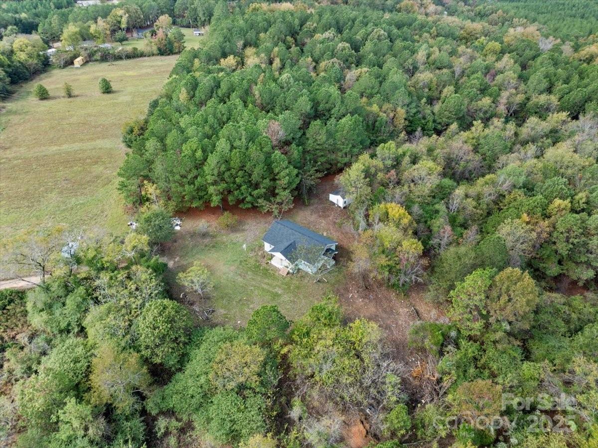 5155 Percy Lane Wallace, SC 29596 - Photo 7 of 33 a view of a yard