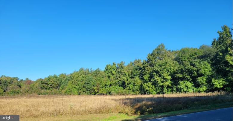 215 Brunkhorst Road Preston, MD 21655 - Photo 1 of 8 View of the lot from Payne Rd