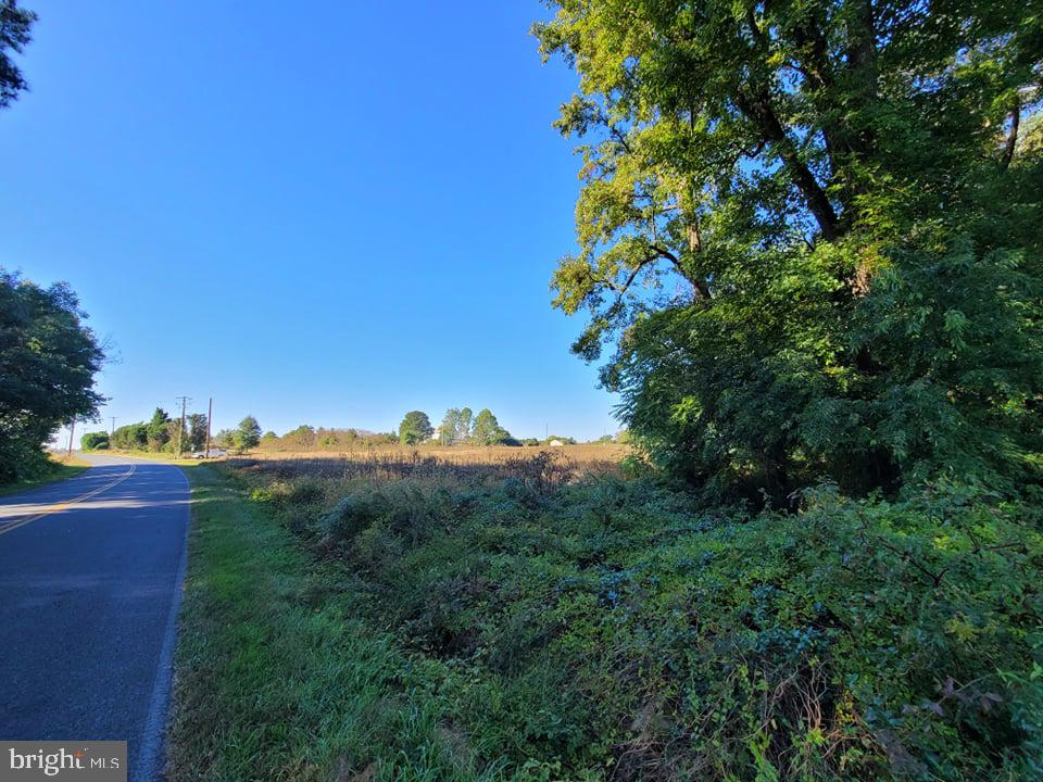 215 Brunkhorst Road Preston, MD 21655 - Photo 4 of 8 View up Payne Rd from back of the lot
