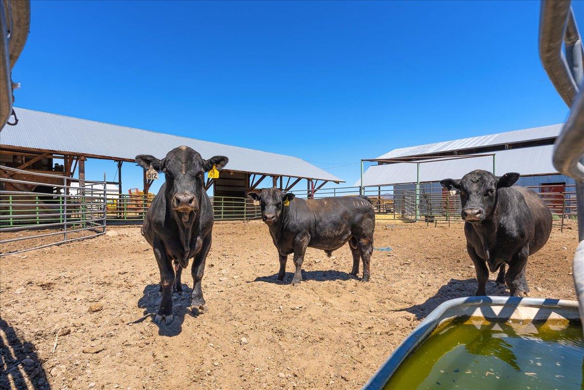 708 Center Road Susanville, CA 96130 - Photo 44 of 69 Gallery Image 44