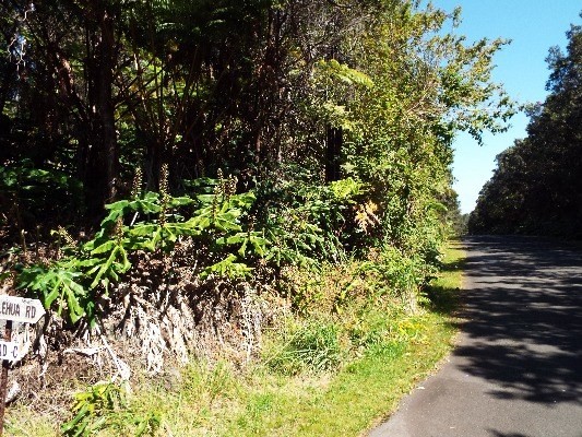 94 Rd C Volcano, HI 96785 - Photo 1 of 4 Gallery Image 1