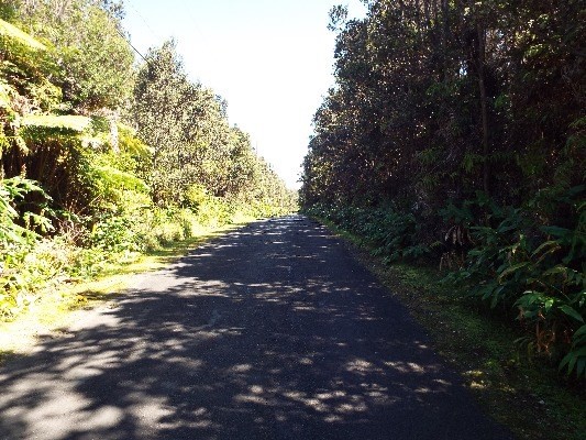 94 Rd C Volcano, HI 96785 - Photo 3 of 4 Gallery Image 3