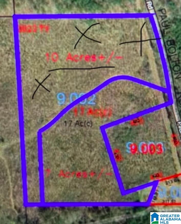 10-acres Paul Bolton Road, Unit 10 Oakman, AL 35579 - Photo 2 of 9