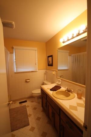 2907 Bluebird Drive Springfield, TN 37172 - Photo 9 of 9 Guest bath