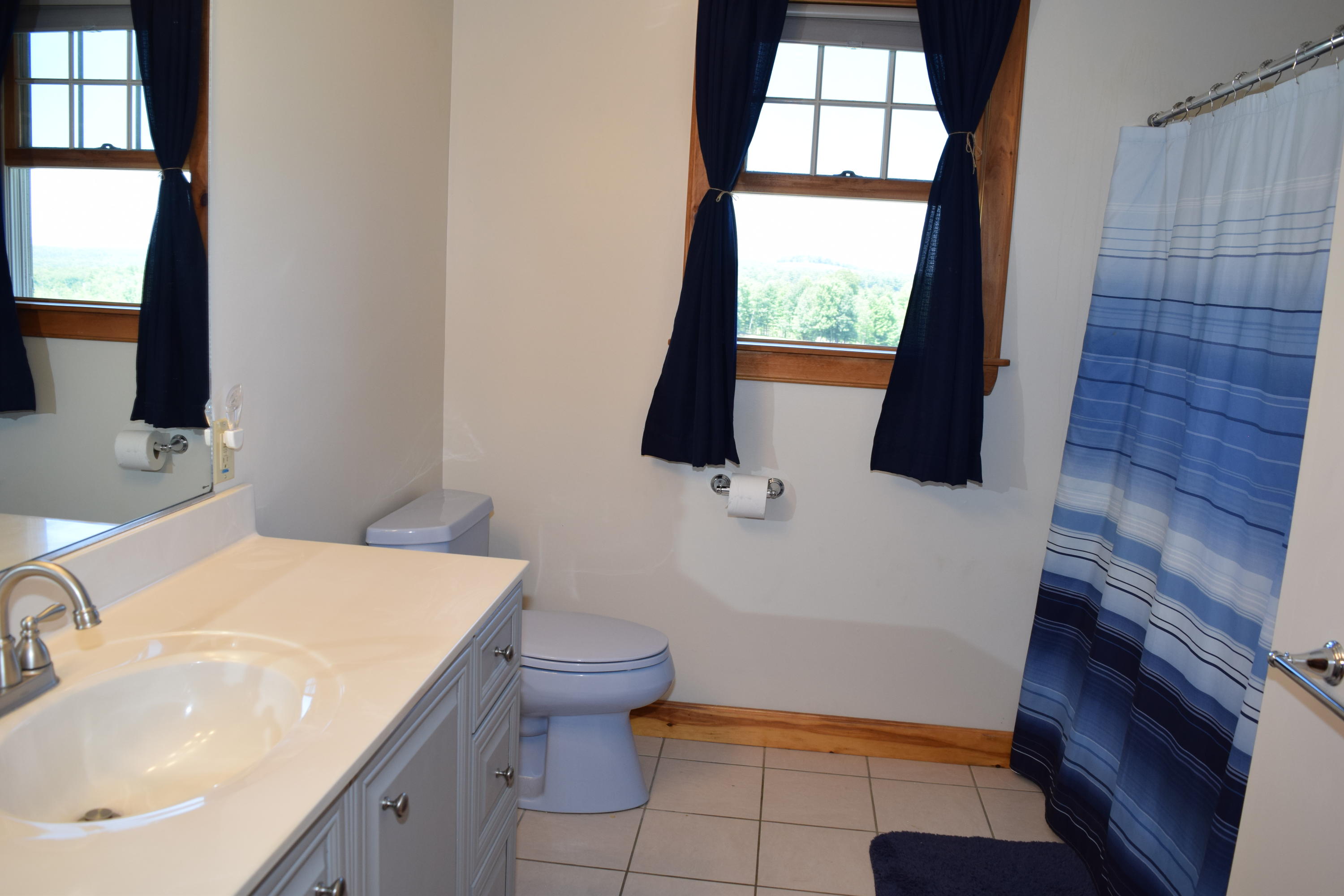 437 Sam Page Road Acton, ME 04001 - Photo 39 of 42 DSC_0525