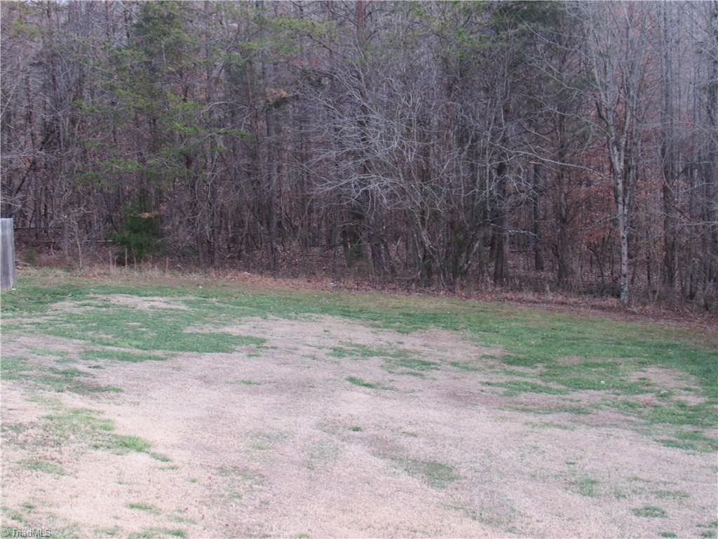6400 Bishops Ridge Lane Rural Hall, NC 27045 - Photo 12 of 16 Gallery Image 12