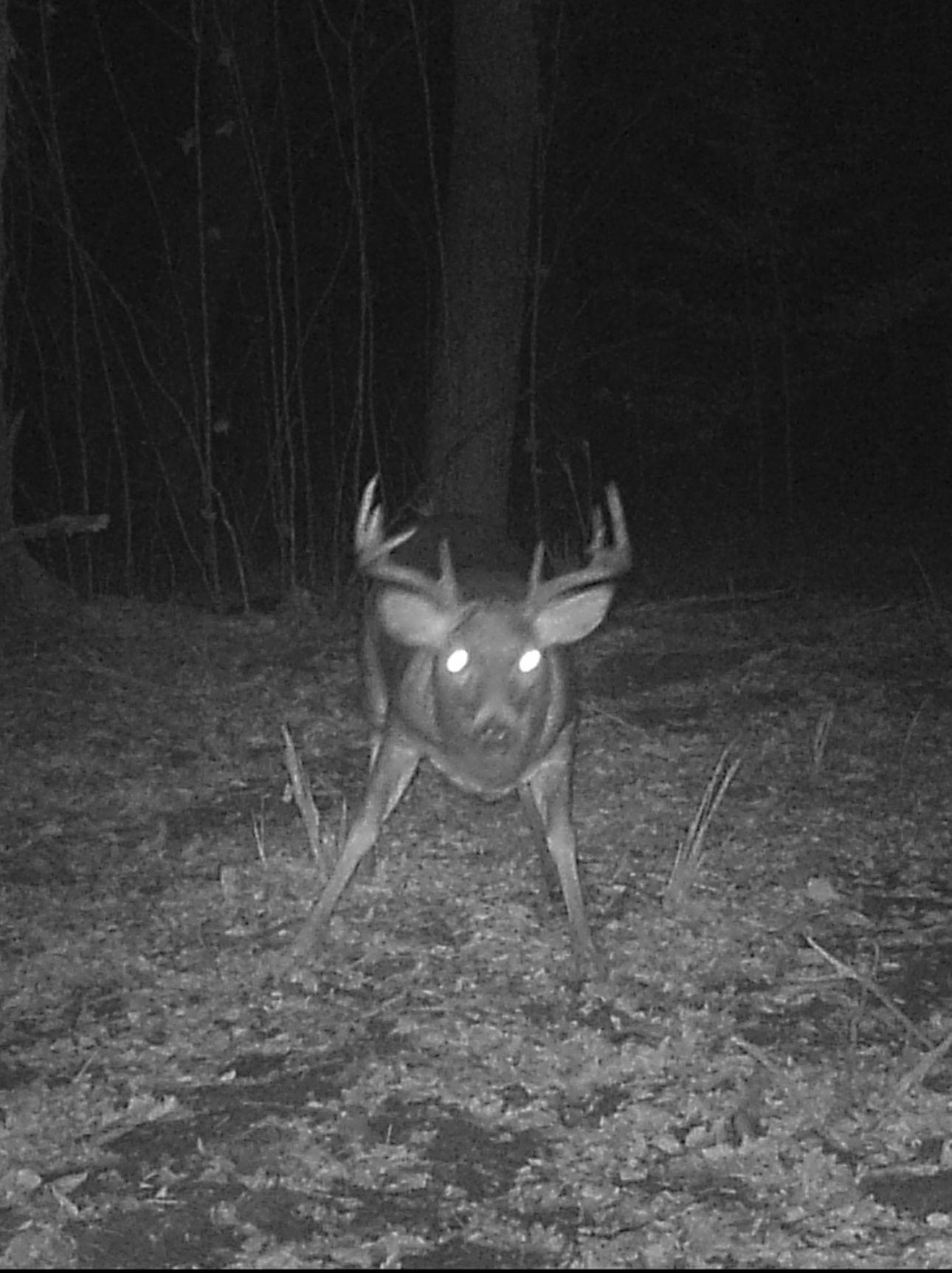 0 Cth X Prentice, WI 54556 - Photo 8 of 38 Gallery Image 8