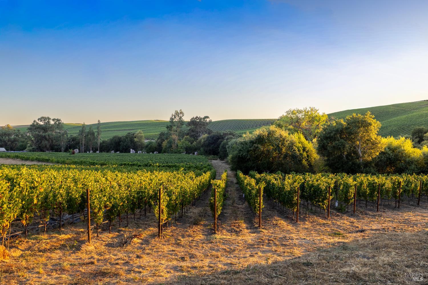 1299 Duhig Road Napa, CA 94559 - Photo 3 of 10