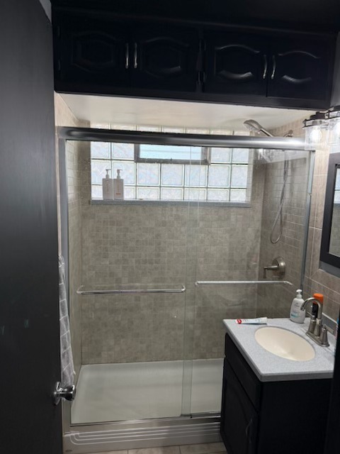 316 Mohawk Street Park Forest, IL 60466 - Photo 17 of 26 a bathroom with a sink a mirror and shower