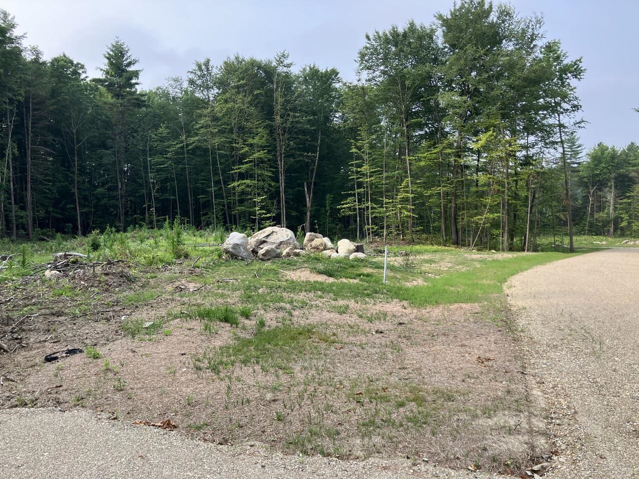 Lot 8 Fern Lake Road Leicester, VT 05733 - Photo 11 of 25