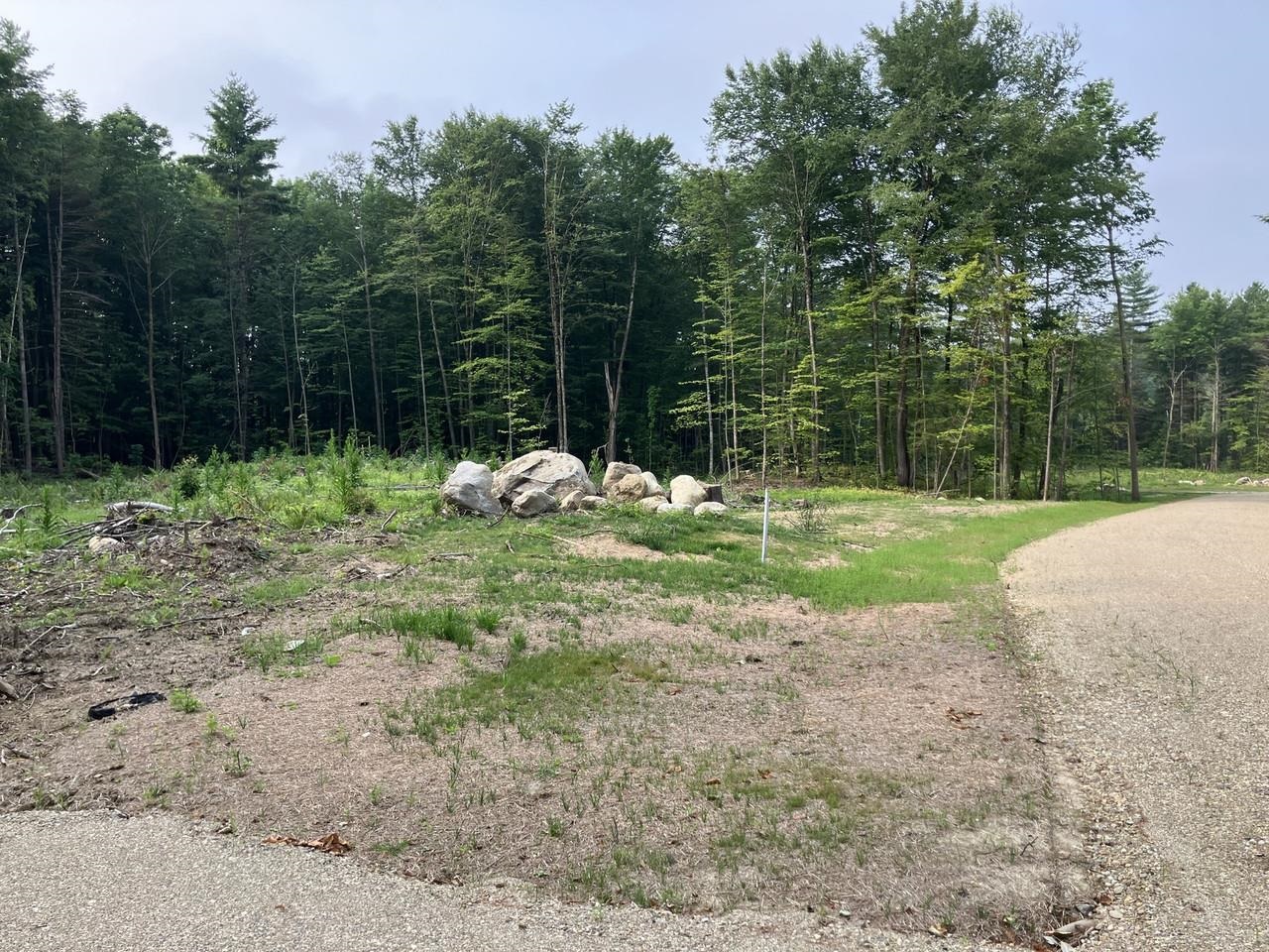 Lot 8 Fern Lake Road Leicester, VT 05733 - Photo 5 of 25