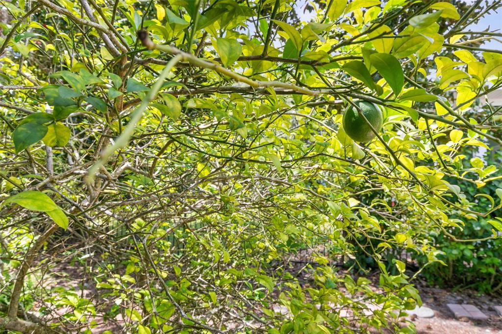 47 Sandy Beach Way Palm Coast, FL 32137 - Photo 56 of 70