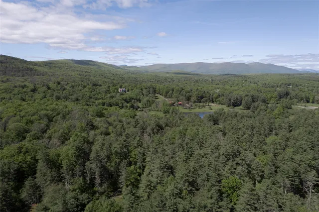 a view of a lush green forest with mountains in the background