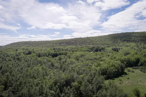 an aerial view of forest