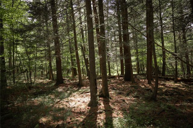 a view of outdoor space and trees