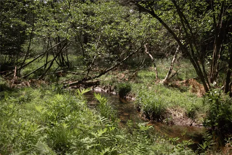 a backyard of a house with lots of plants and trees