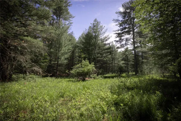 an aerial view of a forest with houses