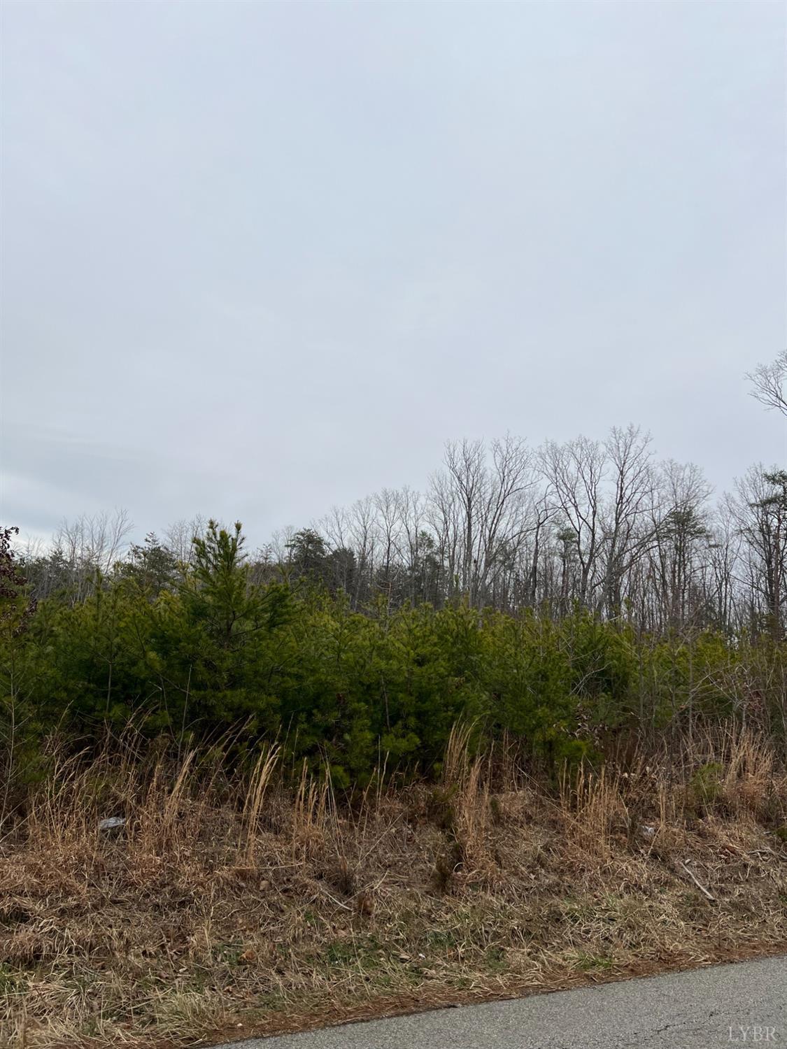 0 Five Forks Road Pamplin, VA 23958 - Photo 2 of 5