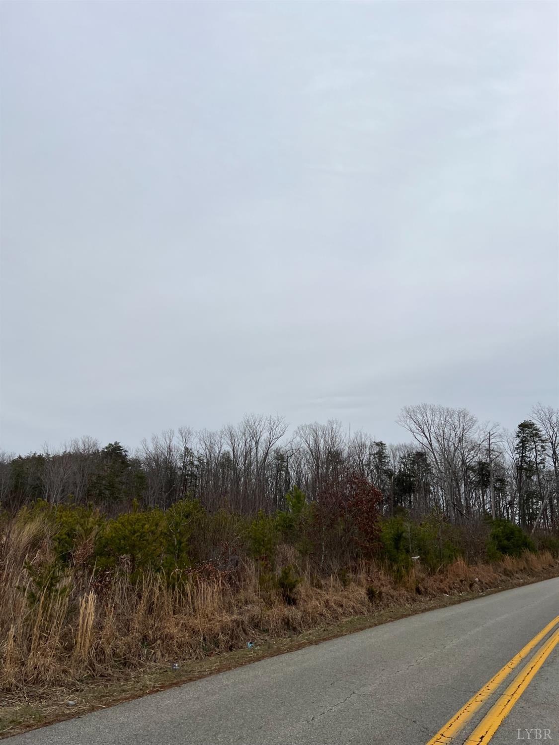 0 Five Forks Road Pamplin, VA 23958 - Photo 3 of 5