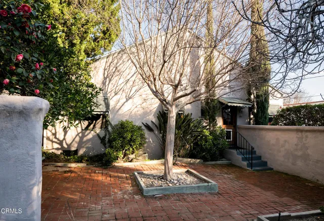 a view of a yard with plants and trees