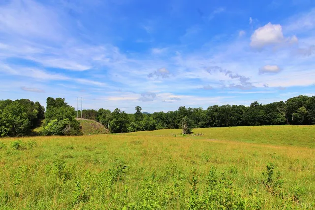 a view of a yard with an outdoor space
