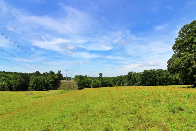 a view of grassy field with mountain in the background