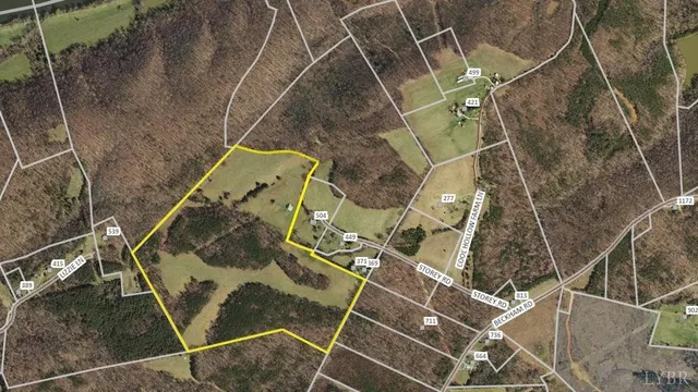 a view of a forest filled with trees