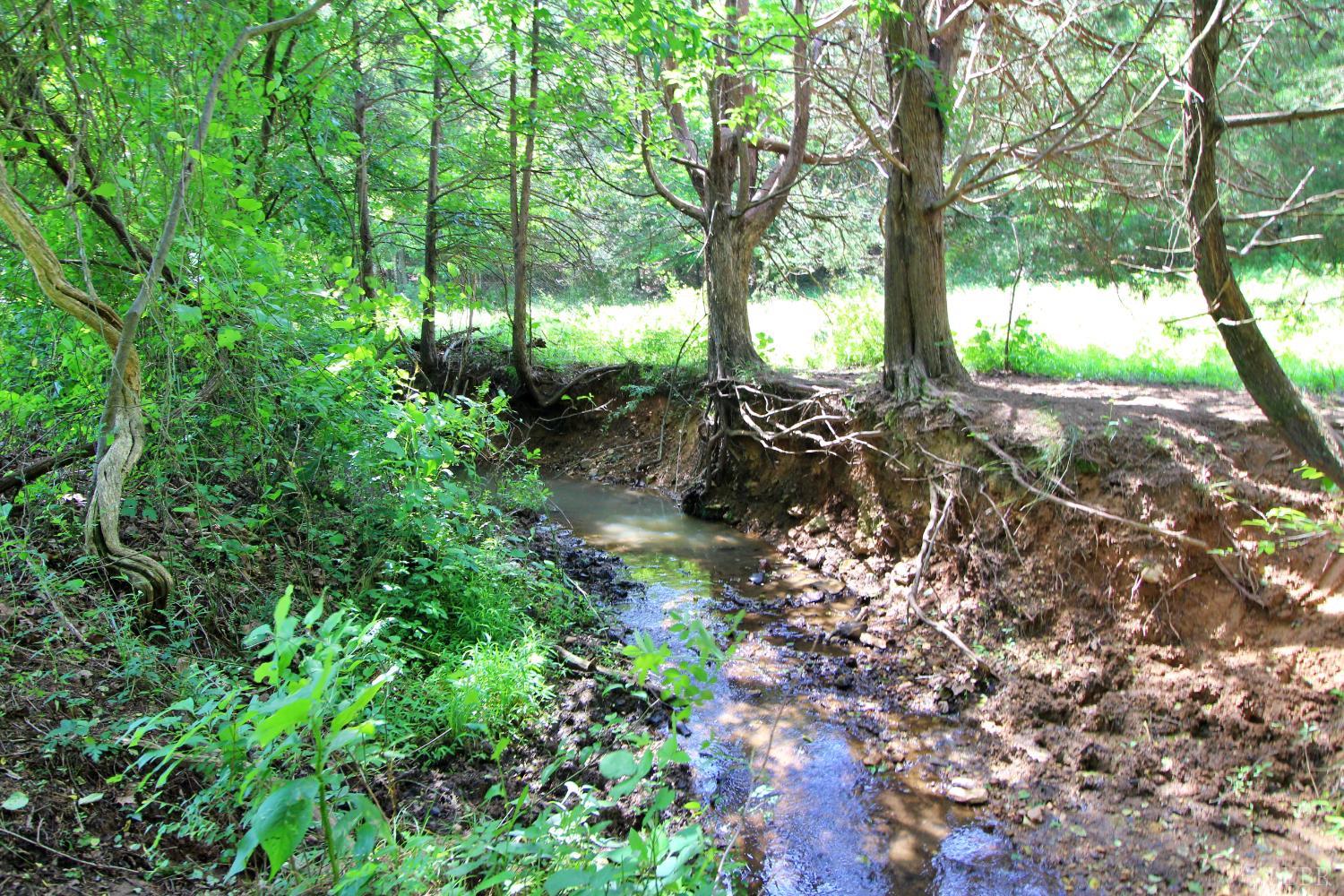 0 Storey Road Concord, VA 24538 - Photo 4 of 19 a view of a forest filled with trees