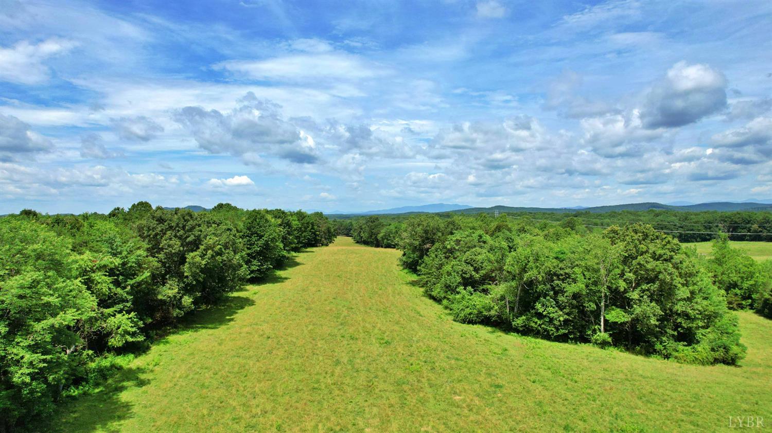 0 Storey Road Concord, VA 24538 - Photo 5 of 19 a view of a bunch of trees and bushes