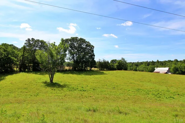 a view of a lush green field with a mountain in the background