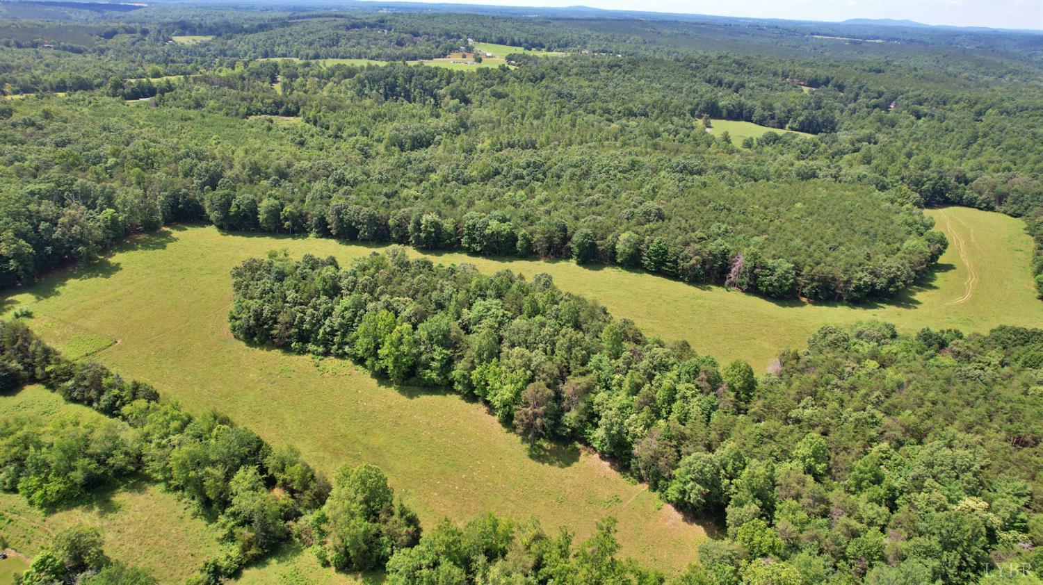 0 Storey Road Concord, VA 24538 - Photo 8 of 19 a view of a forest with a lake