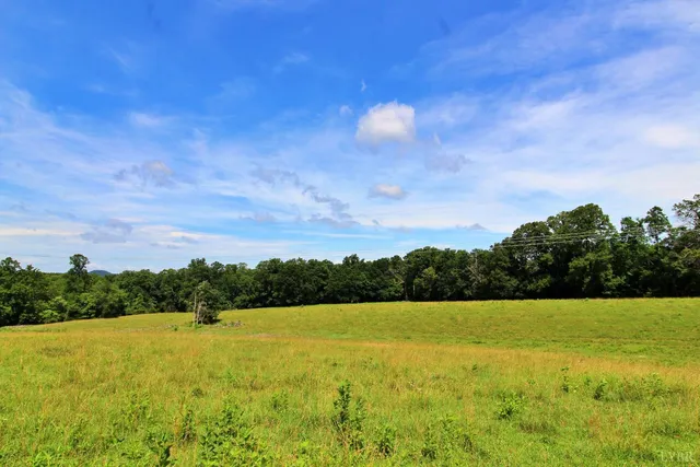 a view of a city with lush green forest