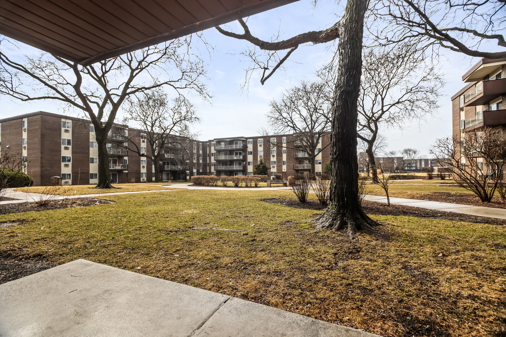 1331 South Finley Road, Unit 104 Lombard, IL 60148 - Photo 11 of 12 a view of a yard with a tree